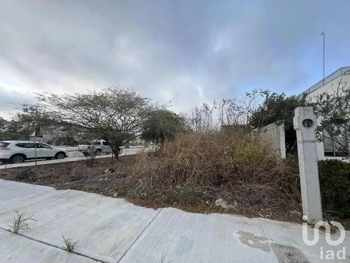 Terreno en Venta en Guadalupe Poniente, Berriozábal, Chiapas | NEX-289556 | iad México | Foto 8 de 9