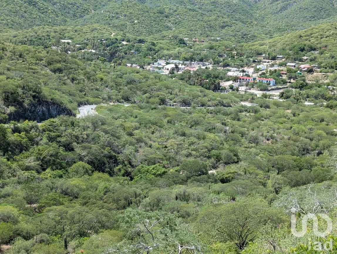 Hotel en Venta en San Antonio, La Paz, Baja California Sur | NEX-234601 | iad México | Foto 2 de 13