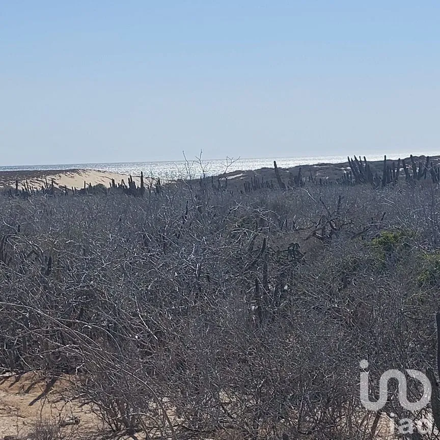 Terreno en Venta en Agua Blanca, La Paz, Baja California Sur | NEX-246730 | iad México | Foto 4 de 8