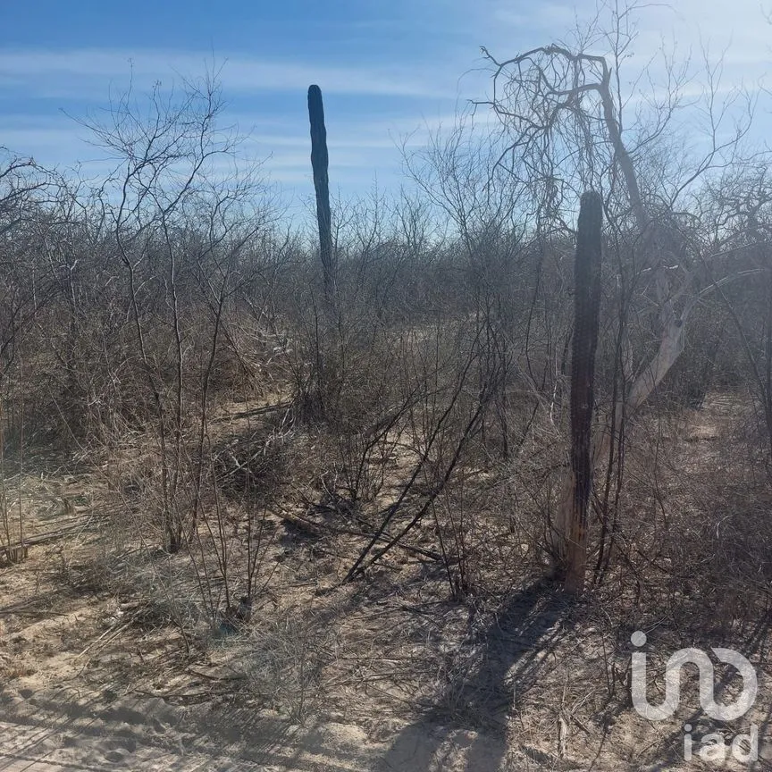 Terreno en Venta en San Pedro, La Paz, Baja California Sur | NEX-252272 | iad México | Foto 6 de 9