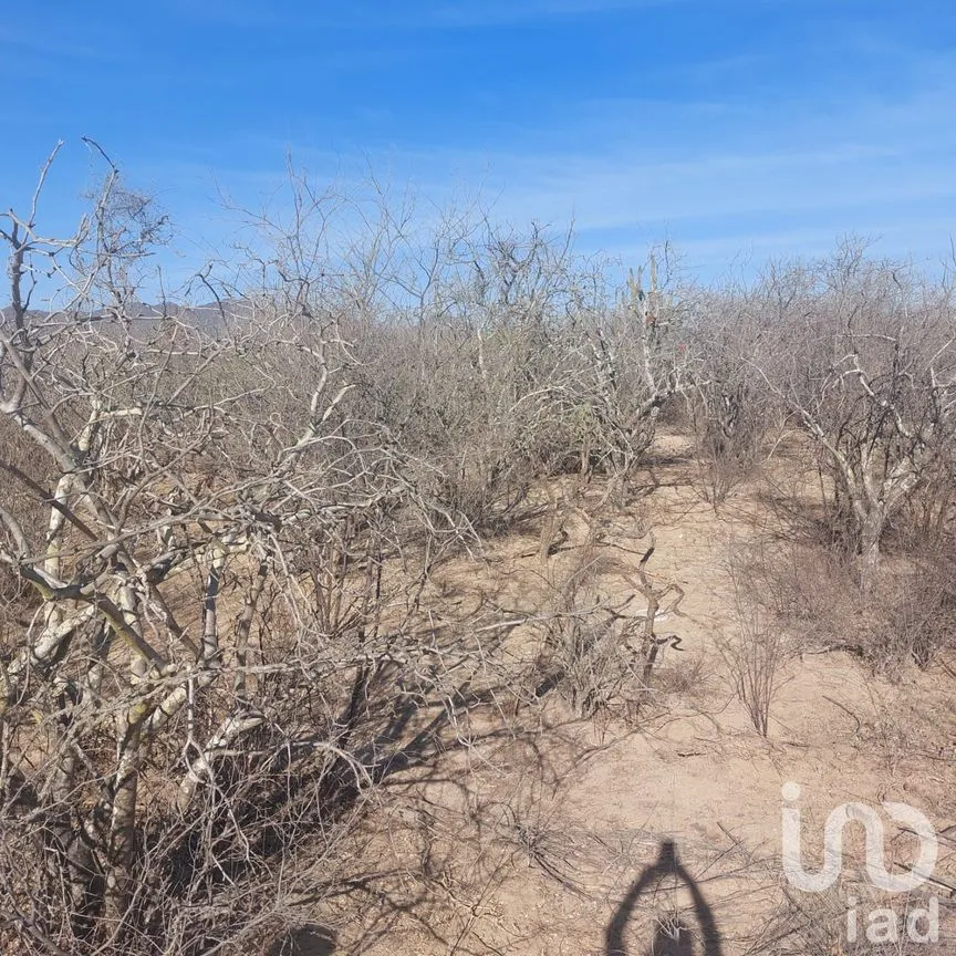 Terreno en Venta en San Pedro, La Paz, Baja California Sur | NEX-252272 | iad México | Foto 9 de 9
