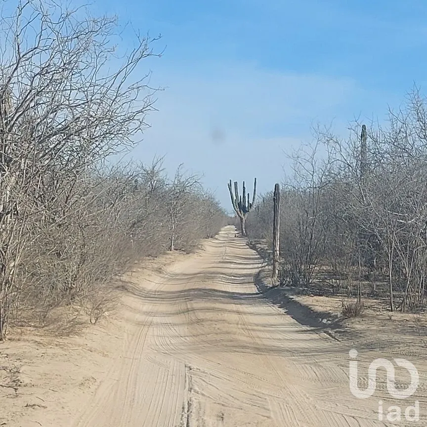 Terreno en Venta en San Pedro, La Paz, Baja California Sur | NEX-252272 | iad México | Foto 1 de 9