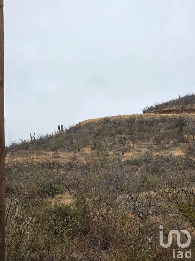 Terreno en Venta en El Pescadero, La Paz, Baja California Sur | NEX-292811 | iad México | Foto 4 de 9