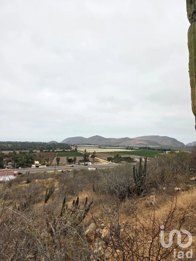Terreno en Venta en El Pescadero, La Paz, Baja California Sur | NEX-292811 | iad México | Foto 5 de 9