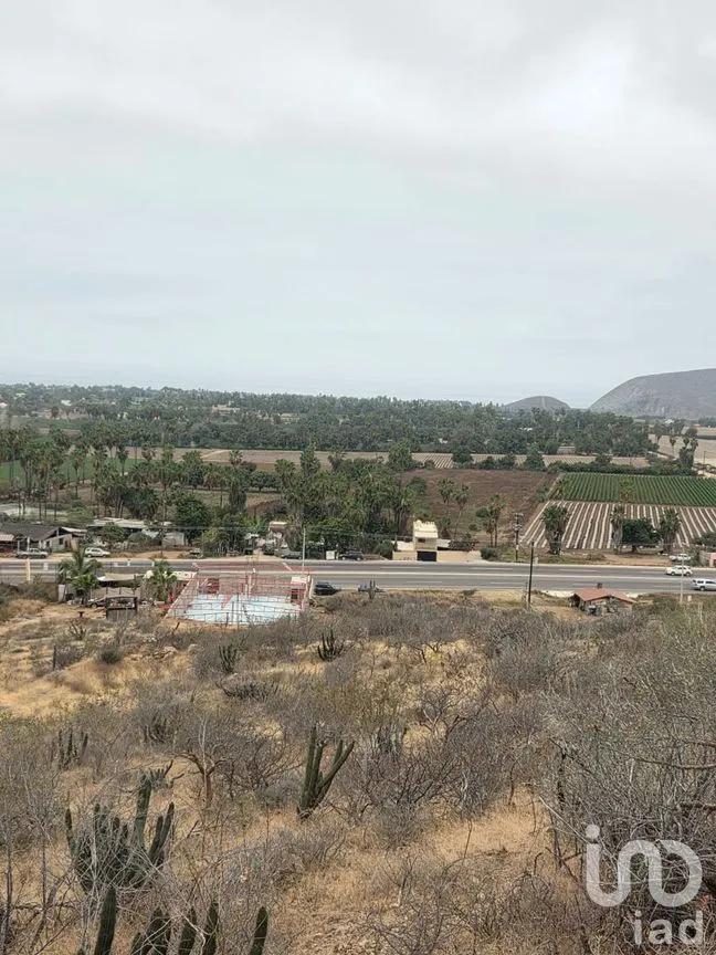 Terreno en Venta en El Pescadero, La Paz, Baja California Sur | NEX-292811 | iad México | Foto 6 de 9