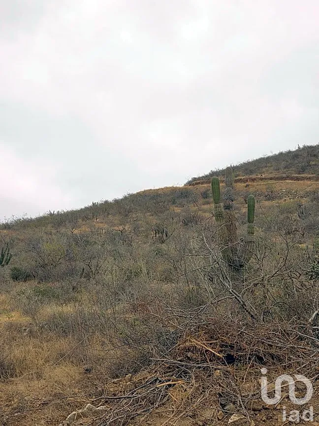Terreno en Venta en El Pescadero, La Paz, Baja California Sur | NEX-292811 | iad México | Foto 8 de 9