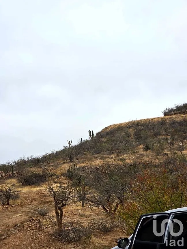 Terreno en Venta en El Pescadero, La Paz, Baja California Sur | NEX-292811 | iad México | Foto 1 de 9