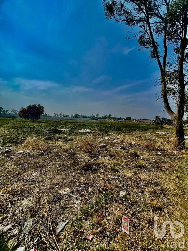 Terreno en Venta en Buenavista, Zumpango, México | NEX-241240 | iad México | Foto 6 de 7