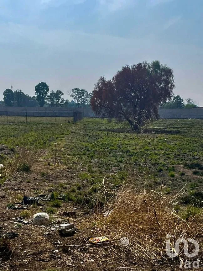 Terreno en Venta en Buenavista, Zumpango, México | NEX-241246 | iad México | Foto 5 de 8