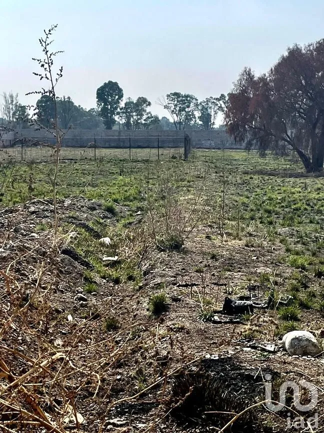 Terreno en Venta en Buenavista, Zumpango, México | NEX-241246 | iad México | Foto 8 de 8