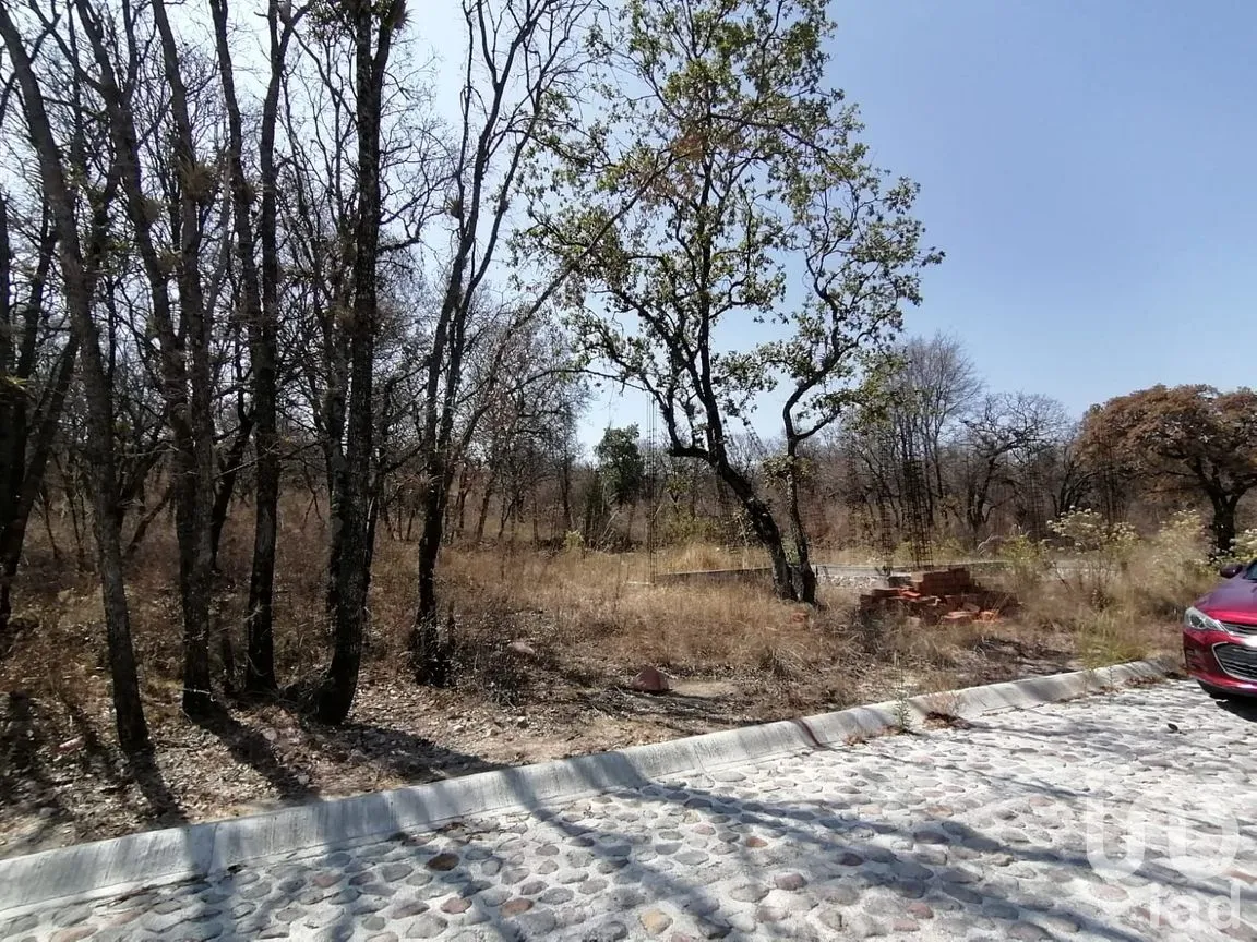 Terreno en Venta en Cuautinchan, Cuautinchán, Puebla | NEX-235076 | iad México | Foto 1 de 4