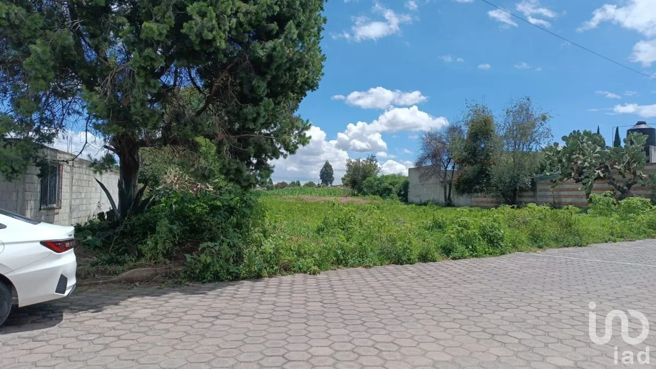 Terreno en Venta en Chimalpa, Santa Isabel Xiloxoxtla, Tlaxcala | NEX-237123 | iad México | Foto 2 de 5