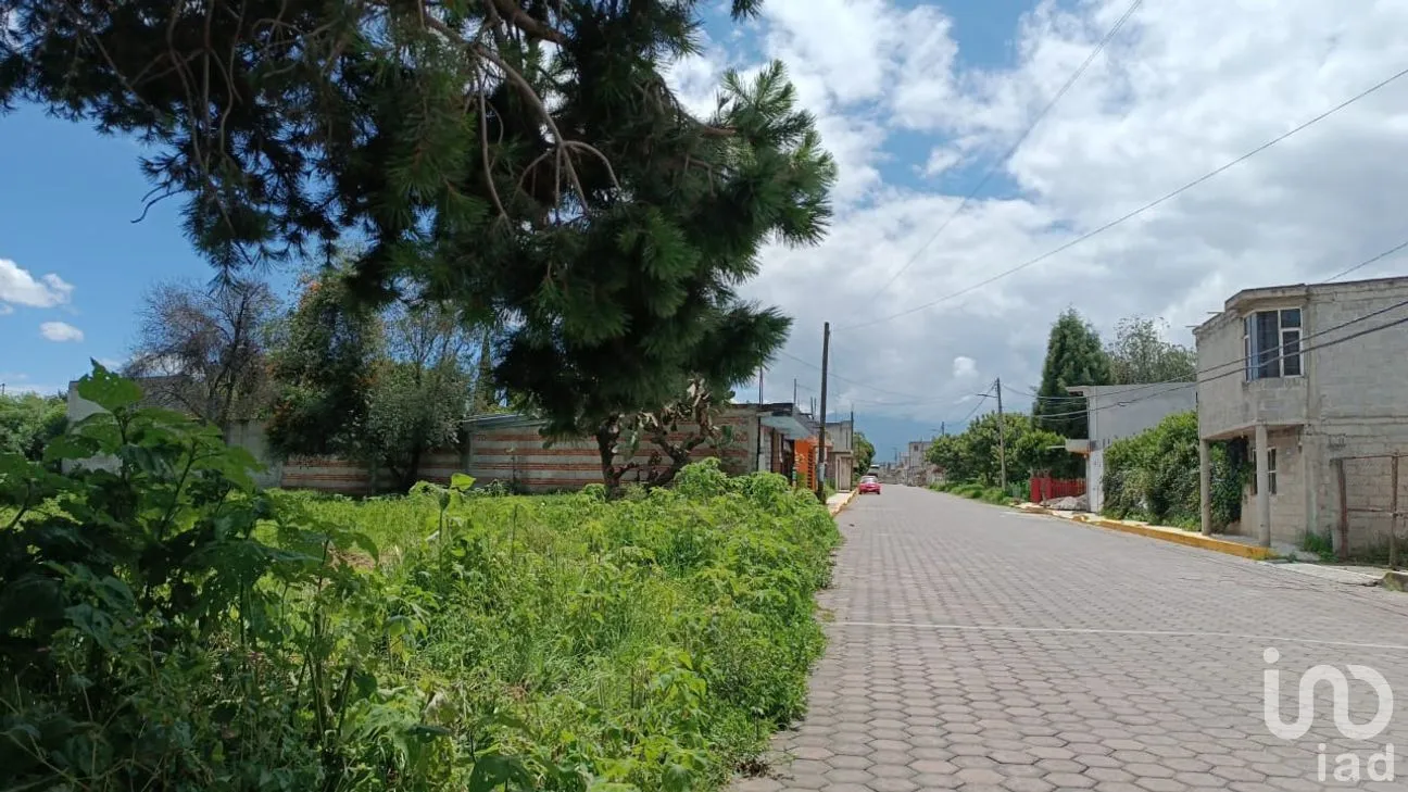 Terreno en Venta en Chimalpa, Santa Isabel Xiloxoxtla, Tlaxcala | NEX-237123 | iad México | Foto 4 de 5