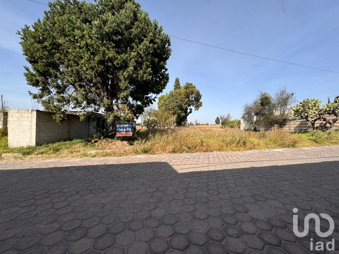 Terreno en Venta en Chimalpa, Santa Isabel Xiloxoxtla, Tlaxcala | NEX-237123 | iad México | Foto 5 de 5