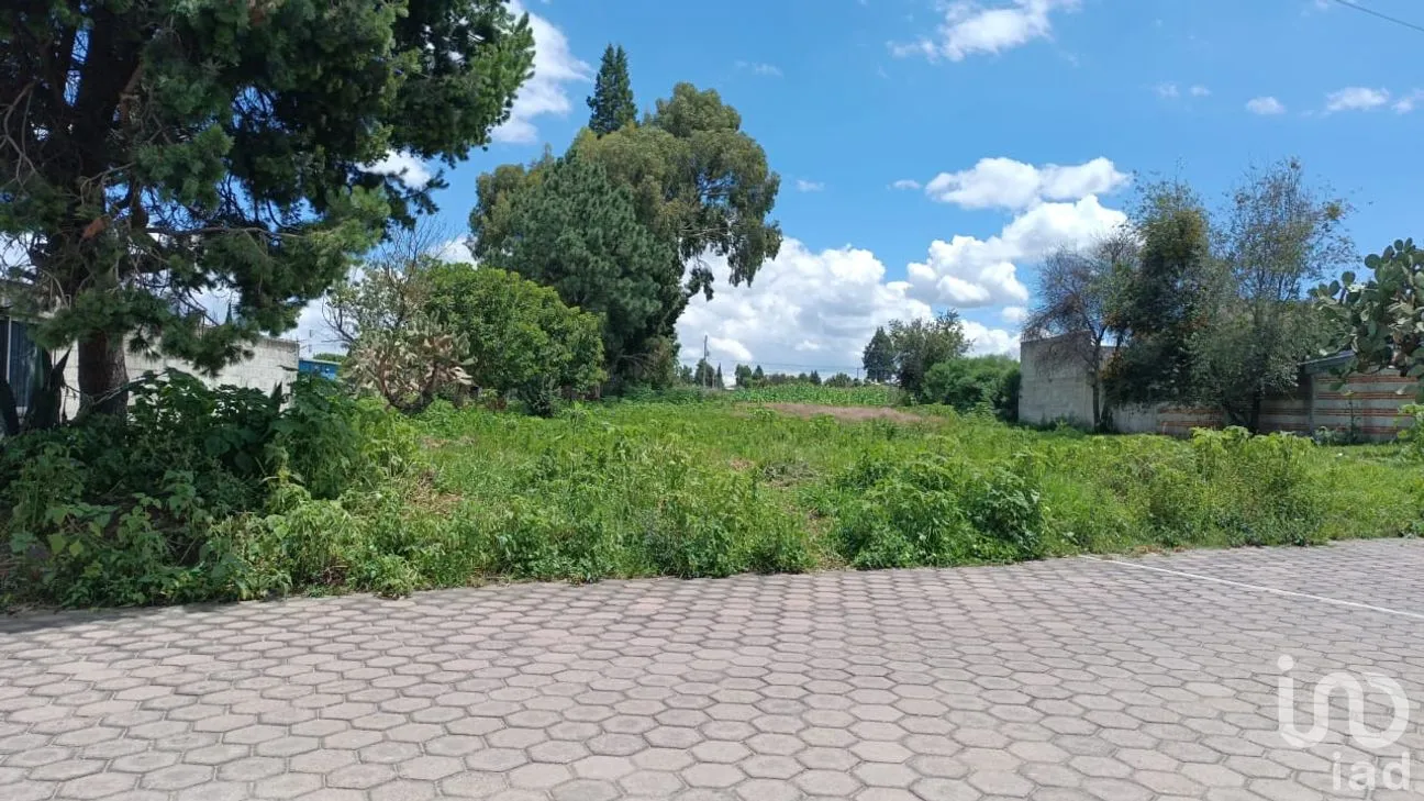 Terreno en Venta en Chimalpa, Santa Isabel Xiloxoxtla, Tlaxcala | NEX-237123 | iad México | Foto 1 de 5