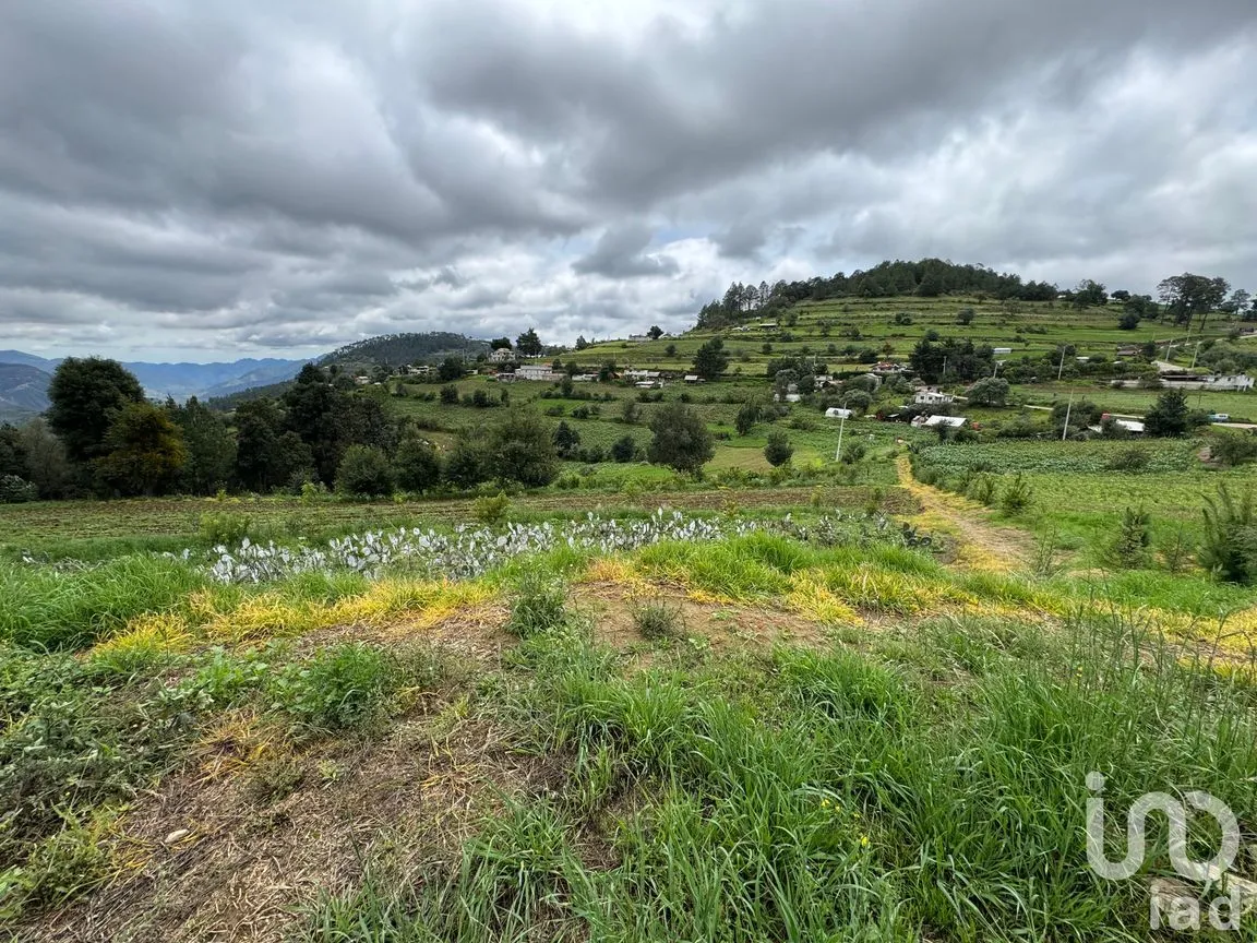 Terreno en Venta en Plan de la Flor, Ixtacamaxtitlán, Puebla | NEX-254305 | iad México | Foto 2 de 5