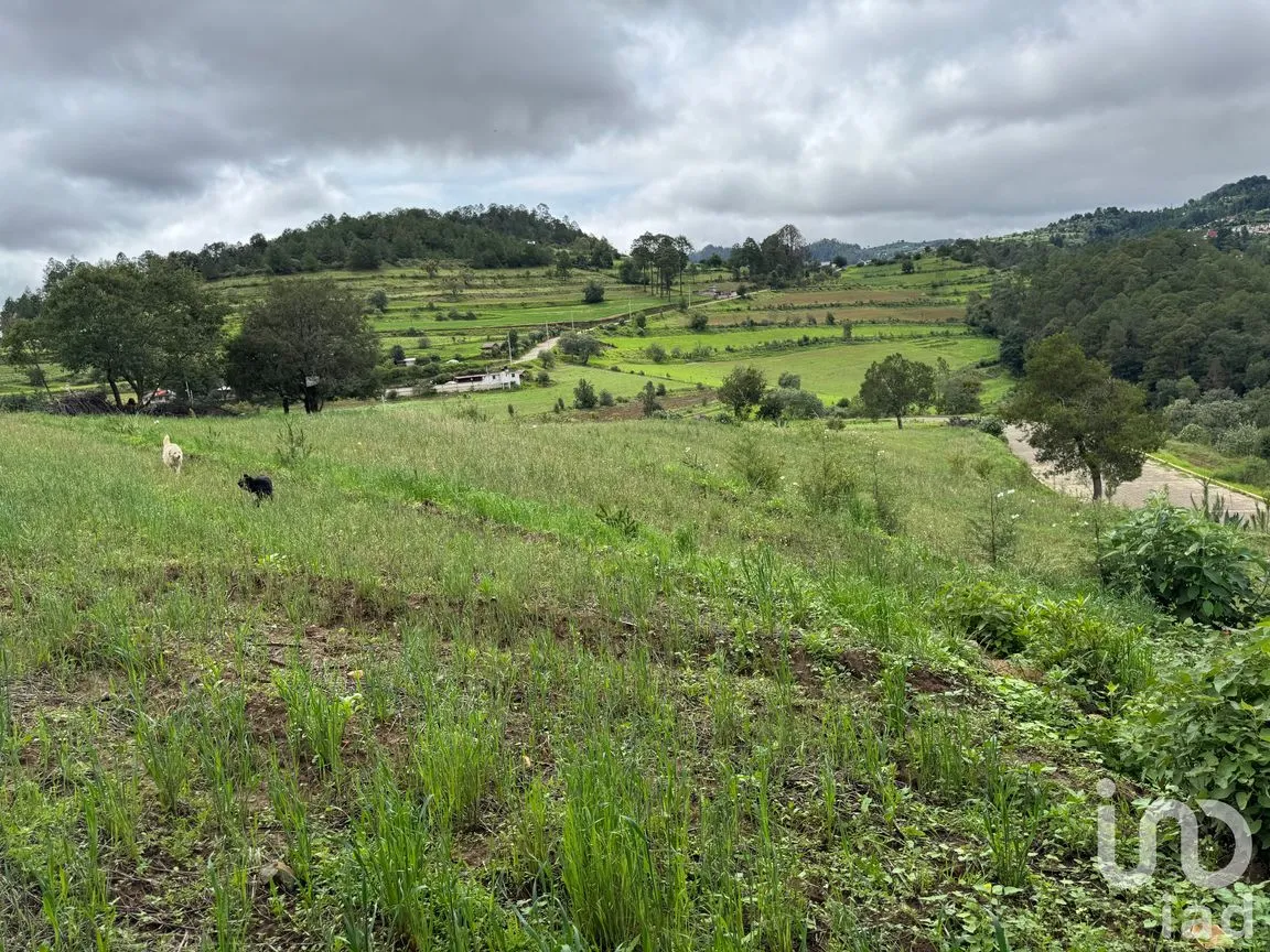 Terreno en Venta en Plan de la Flor, Ixtacamaxtitlán, Puebla | NEX-254305 | iad México | Foto 3 de 5