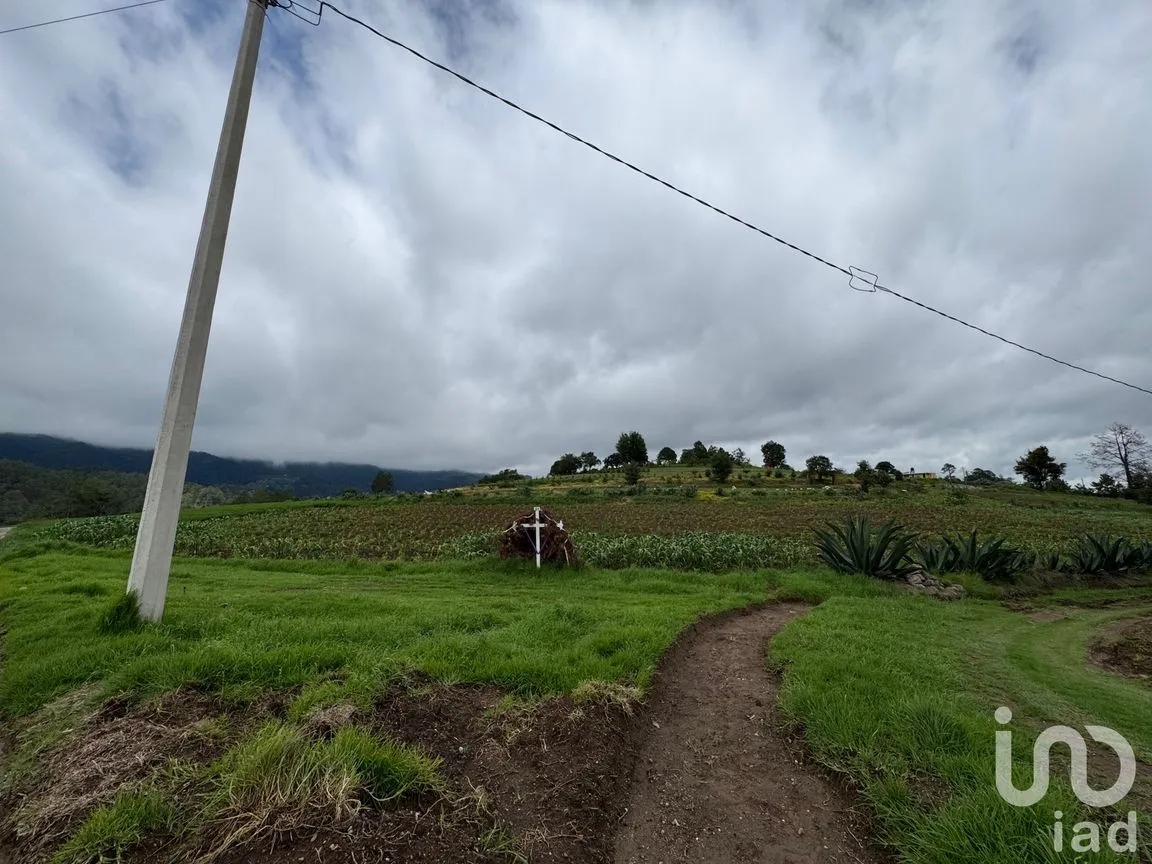 Terreno en Venta en Plan de la Flor, Ixtacamaxtitlán, Puebla | NEX-254305 | iad México | Foto 4 de 5