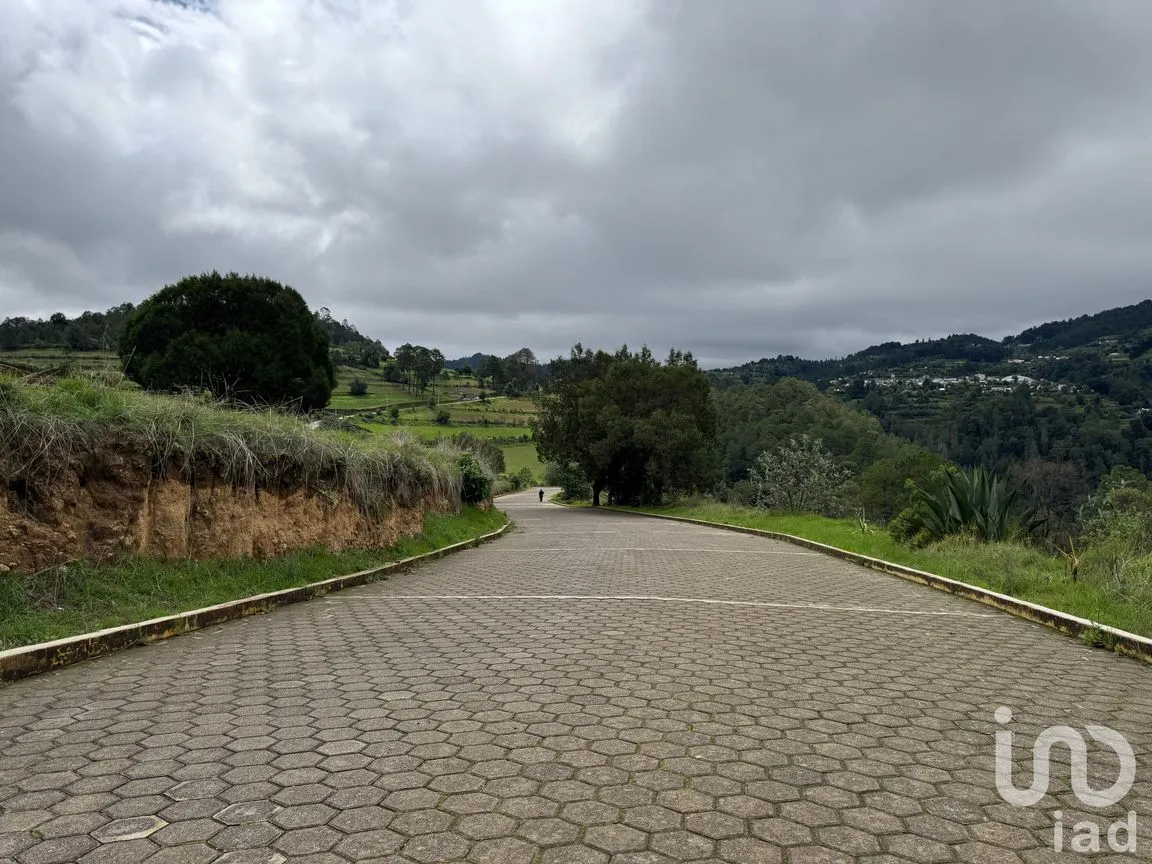 Terreno en Venta en Plan de la Flor, Ixtacamaxtitlán, Puebla | NEX-254305 | iad México | Foto 5 de 5