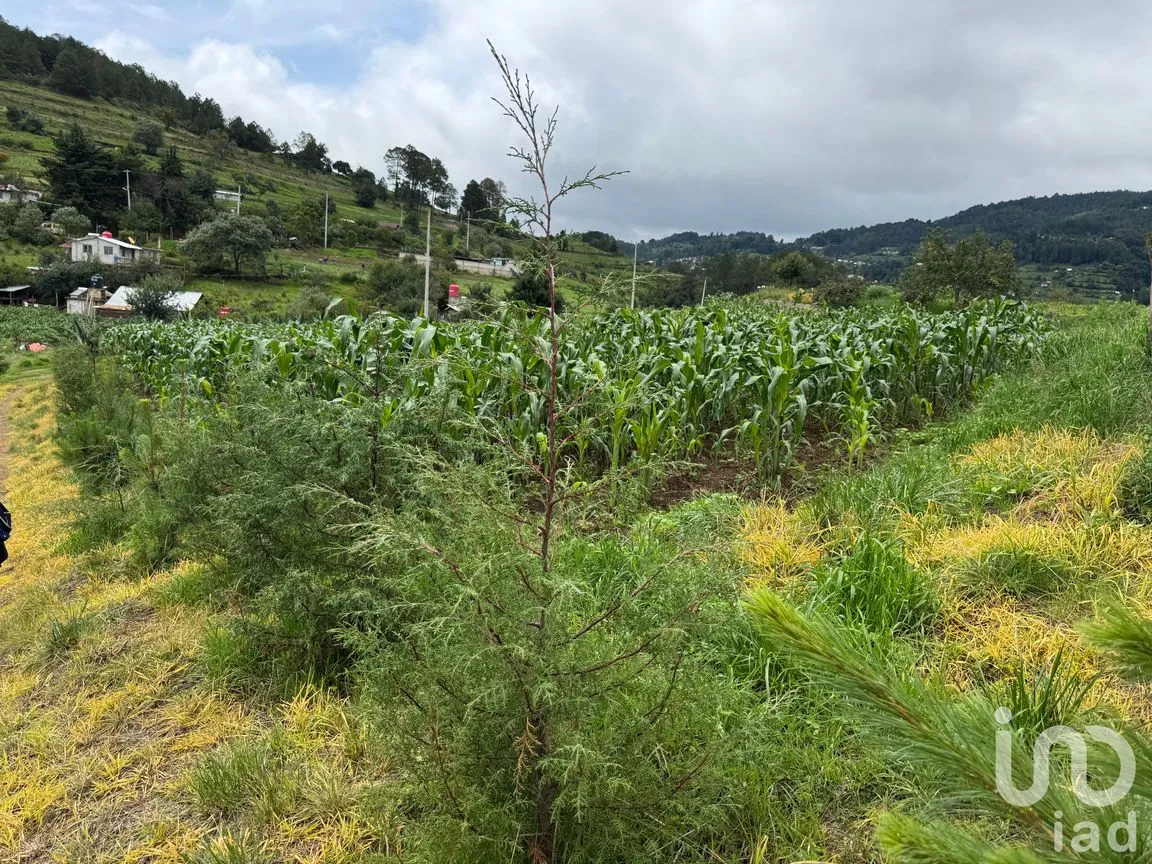 Terreno en Venta en Plan de la Flor, Ixtacamaxtitlán, Puebla | NEX-254305 | iad México | Foto 1 de 5