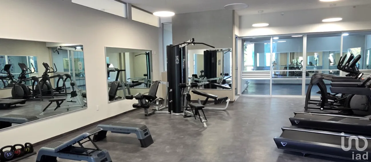 Departamento en Venta en Bosques de las Lomas, Cuajimalpa de Morelos, Ciudad de México | NEX-246681 | iad México | Foto 9 de 11