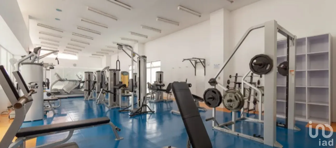 Departamento en Venta en Anáhuac I Sección, Miguel Hidalgo, Ciudad de México | NEX-265551 | iad México | Foto 19 de 23