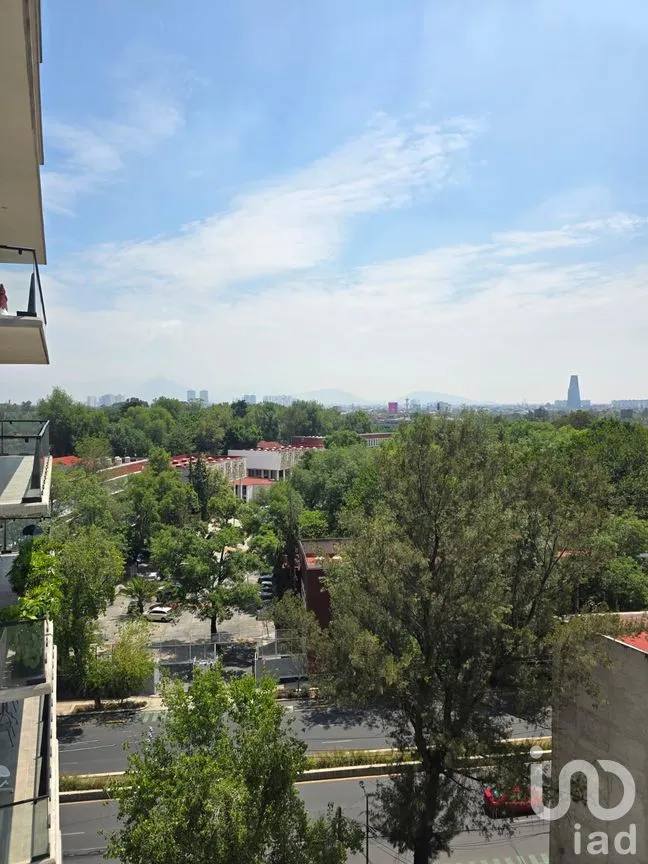 Departamento en Renta en Anáhuac II Sección, Miguel Hidalgo, Ciudad de México | NEX-297888 | iad México | Foto 22 de 25