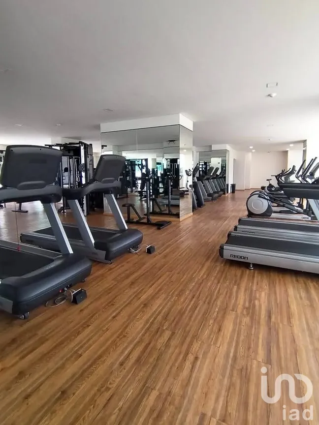 Departamento en Renta en Anáhuac II Sección, Miguel Hidalgo, Ciudad de México | NEX-297888 | iad México | Foto 23 de 25