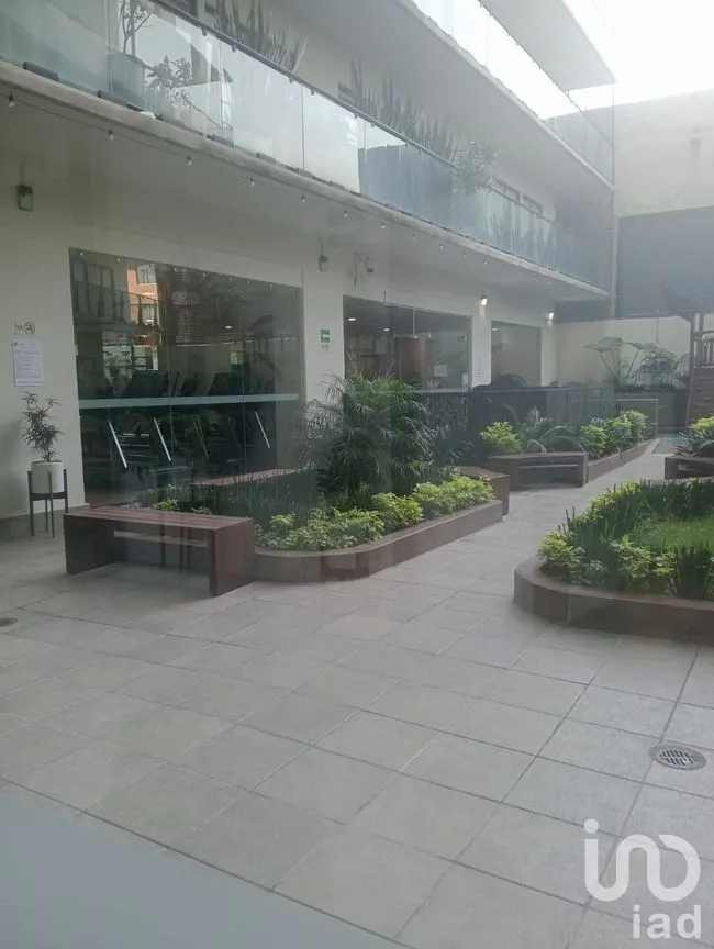 Departamento en Renta en Anáhuac II Sección, Miguel Hidalgo, Ciudad de México | NEX-297888 | iad México | Foto 24 de 25