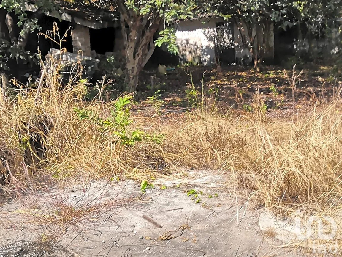 Terreno en Venta en Tepic Centro, Tepic, Nayarit | NEX-235104 | iad México | Foto 11 de 11