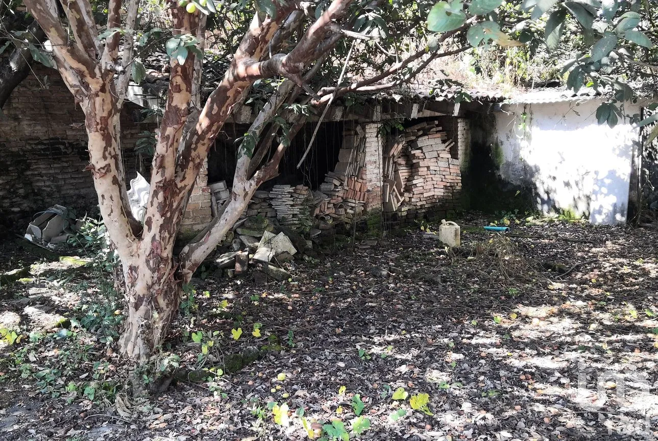 Terreno en Venta en Tepic Centro, Tepic, Nayarit | NEX-235104 | iad México | Foto 10 de 11