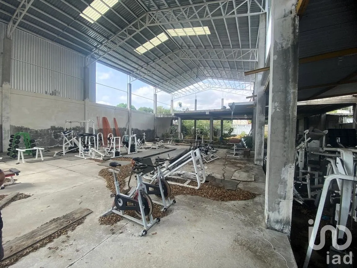Bodega en Renta en Nueva Alemania, Tepic, Nayarit | NEX-251425 | iad México | Foto 5 de 8