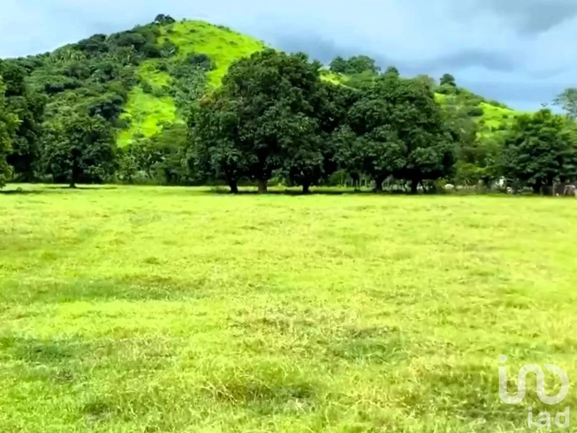 Terreno en Venta en El Capomo, Compostela, Nayarit | NEX-259795 | iad México | Foto 5 de 11