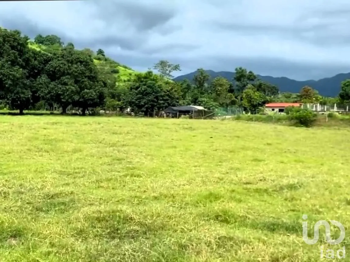 Terreno en Venta en El Capomo, Compostela, Nayarit | NEX-259795 | iad México | Foto 6 de 11