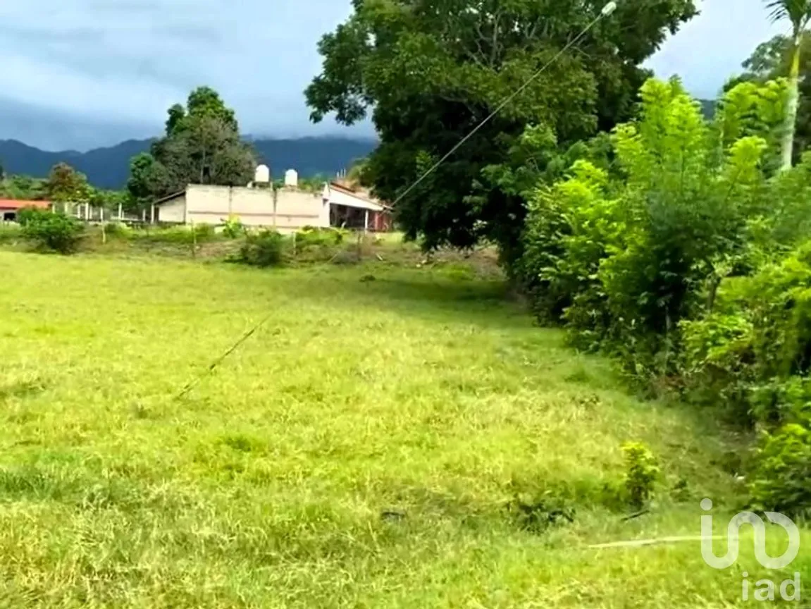 Terreno en Venta en El Capomo, Compostela, Nayarit | NEX-259795 | iad México | Foto 7 de 11