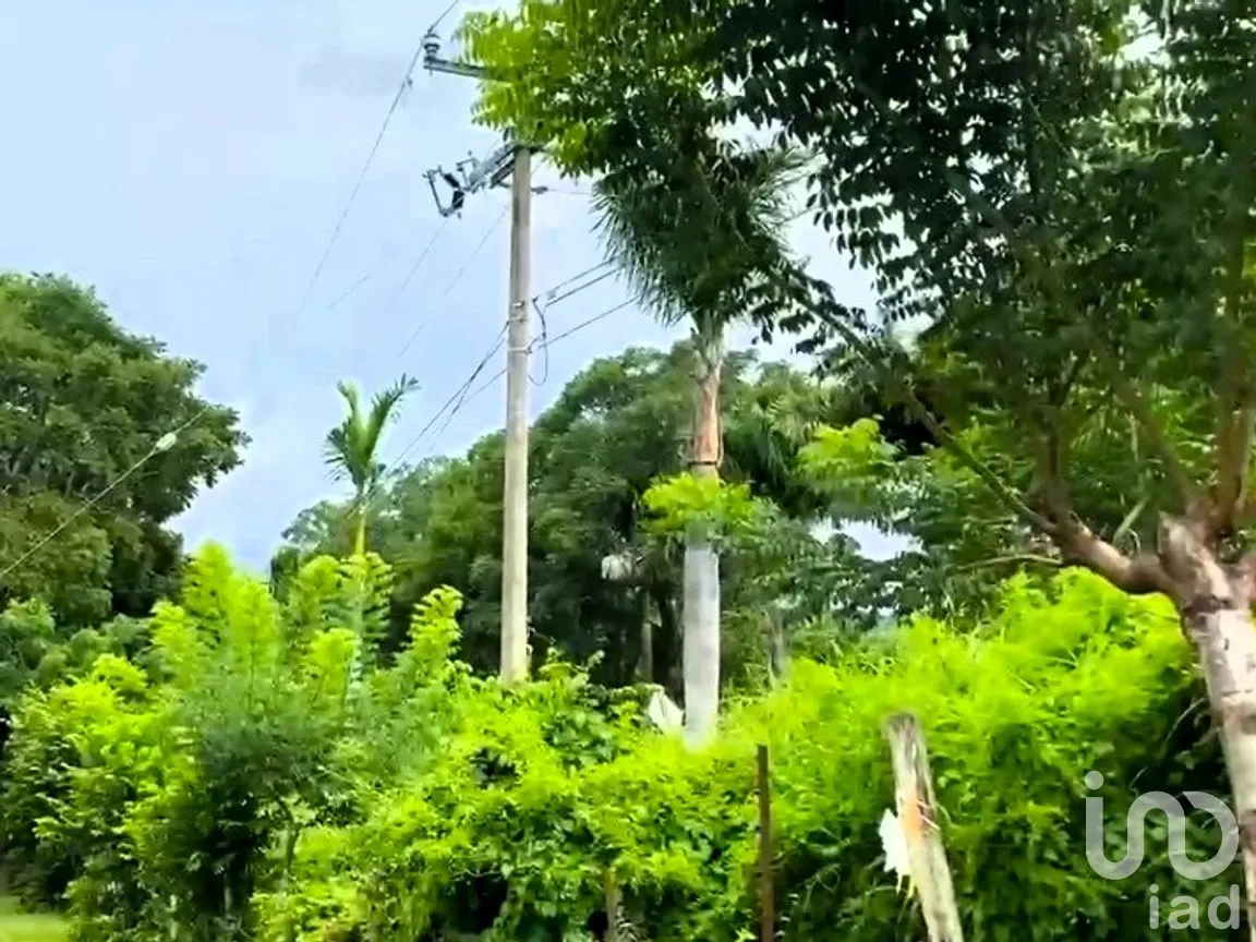 Terreno en Venta en El Capomo, Compostela, Nayarit | NEX-259795 | iad México | Foto 8 de 11