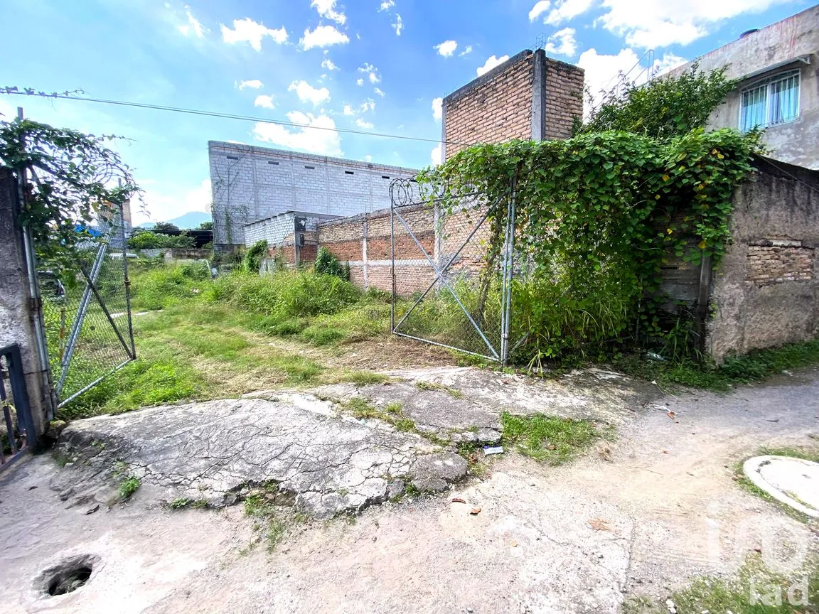 Terreno en Venta en Rey Nayar, Tepic, Nayarit | NEX-260070 | iad México | Foto 11 de 13