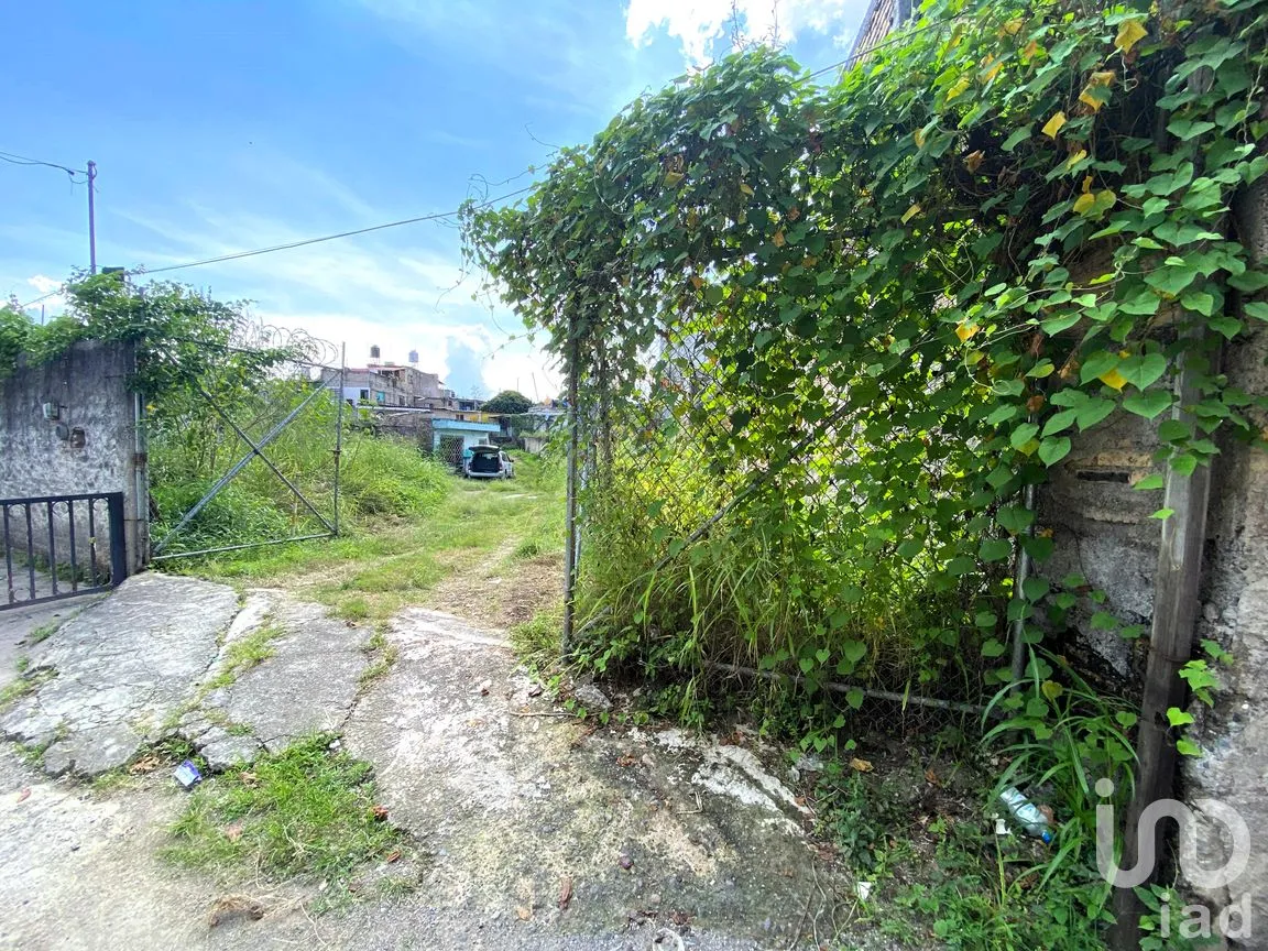 Terreno en Venta en Rey Nayar, Tepic, Nayarit | NEX-260070 | iad México | Foto 12 de 13