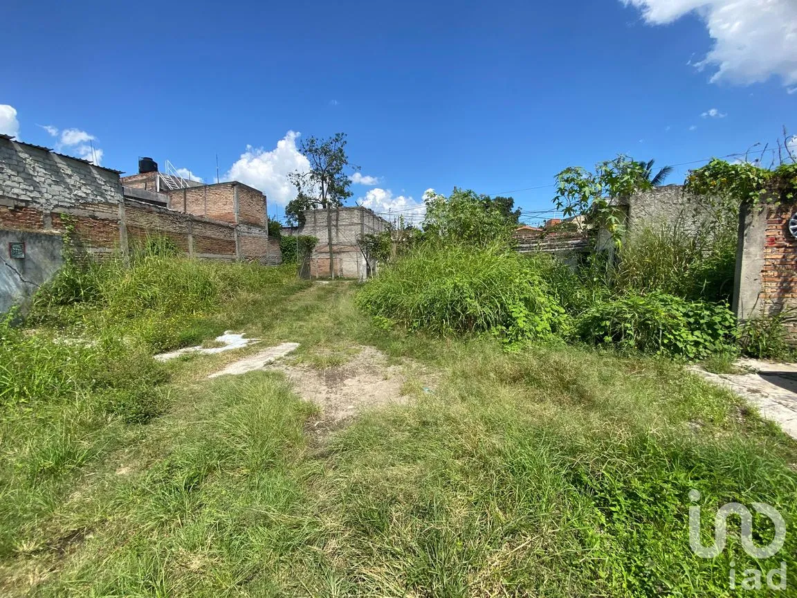 Terreno en Venta en Rey Nayar, Tepic, Nayarit | NEX-260070 | iad México | Foto 4 de 13
