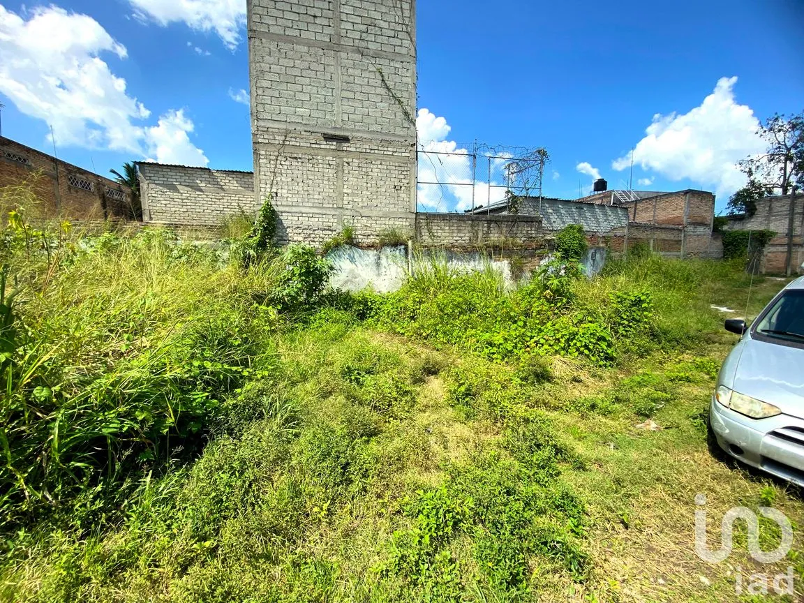 Terreno en Venta en Rey Nayar, Tepic, Nayarit | NEX-260070 | iad México | Foto 6 de 13