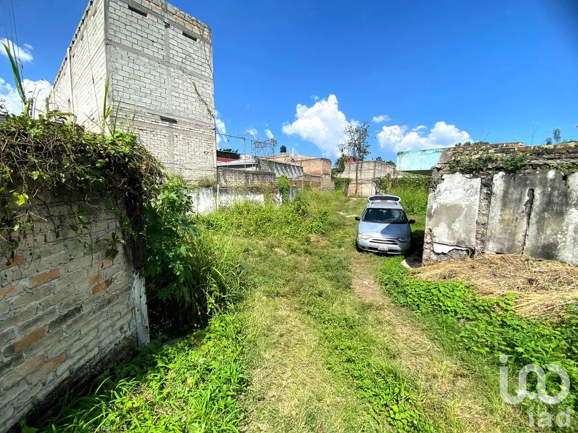 Terreno en Venta en Rey Nayar, Tepic, Nayarit | NEX-260070 | iad México | Foto 7 de 13
