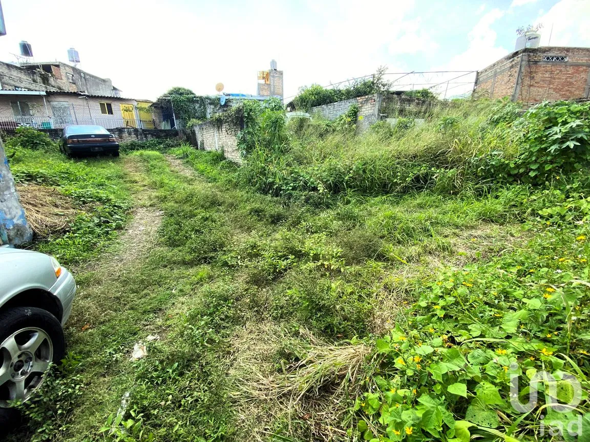 Terreno en Venta en Rey Nayar, Tepic, Nayarit | NEX-260070 | iad México | Foto 8 de 13
