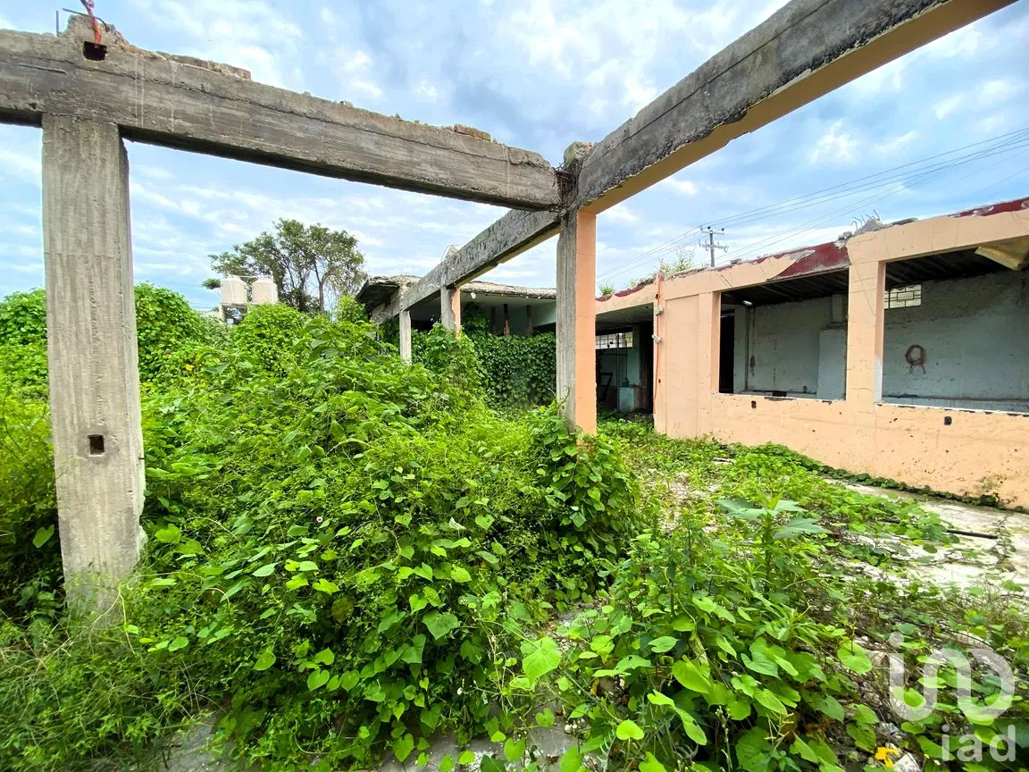 Terreno en Venta en Heriberto Casas, Tepic, Nayarit | NEX-260303 | iad México | Foto 12 de 18