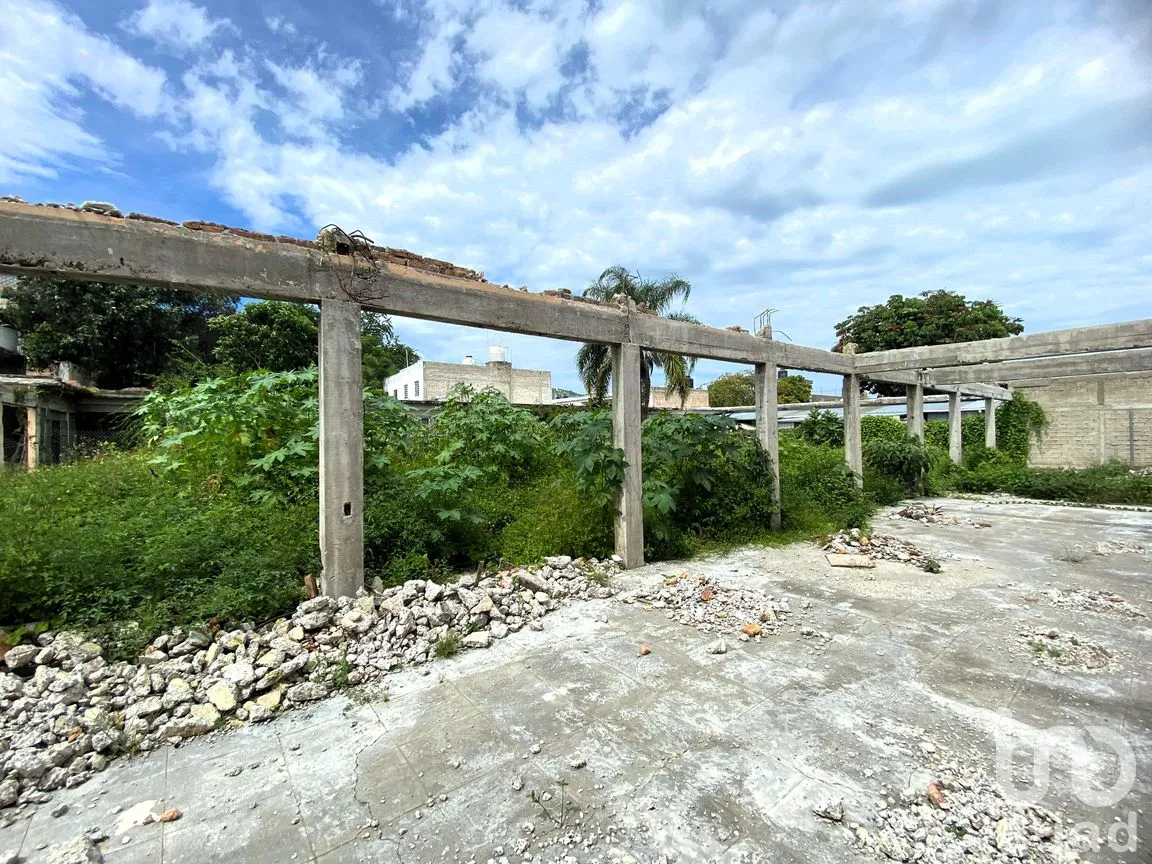 Terreno en Venta en Heriberto Casas, Tepic, Nayarit | NEX-260303 | iad México | Foto 3 de 18