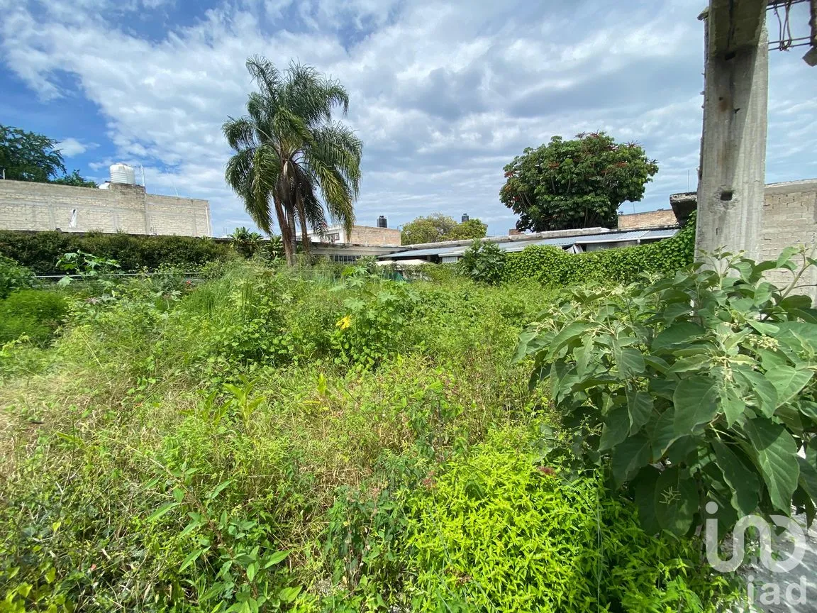 Terreno en Venta en Heriberto Casas, Tepic, Nayarit | NEX-260303 | iad México | Foto 7 de 18