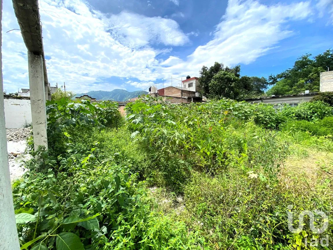 Terreno en Venta en Heriberto Casas, Tepic, Nayarit | NEX-260303 | iad México | Foto 8 de 18