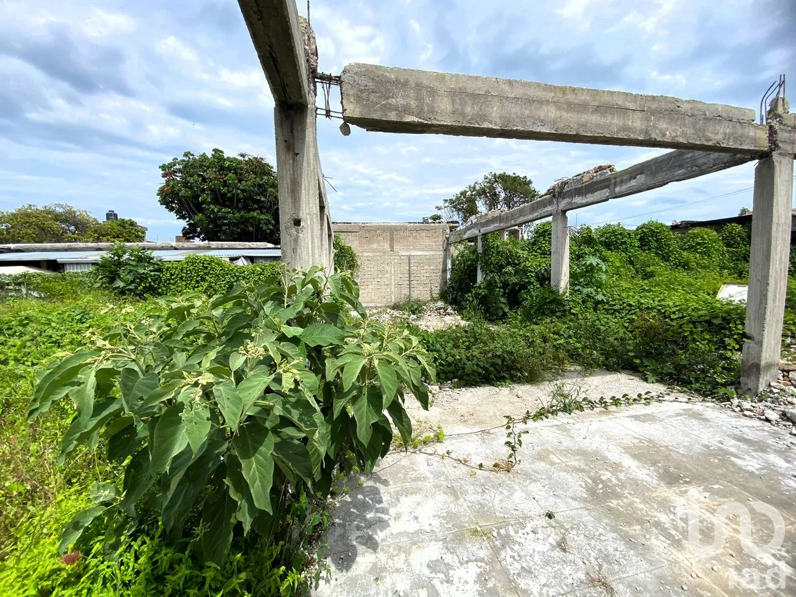 Terreno en Venta en Heriberto Casas, Tepic, Nayarit | NEX-260303 | iad México | Foto 9 de 18