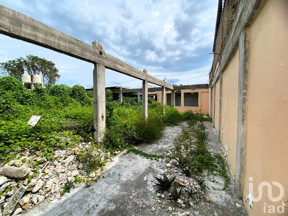 Terreno en Venta en Heriberto Casas, Tepic, Nayarit | NEX-260303 | iad México | Foto 10 de 18
