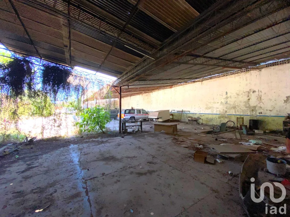 Bodega en Venta en Juárez, Santiago Ixcuintla, Nayarit | NEX-293466 | iad México | Foto 11 de 17