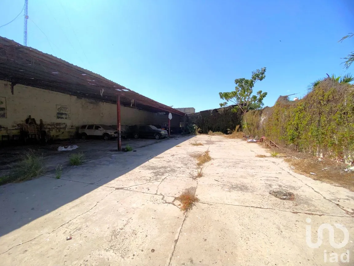 Bodega en Venta en Juárez, Santiago Ixcuintla, Nayarit | NEX-293466 | iad México | Foto 14 de 17